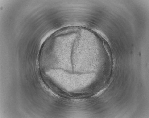 X0000070390928200606301942