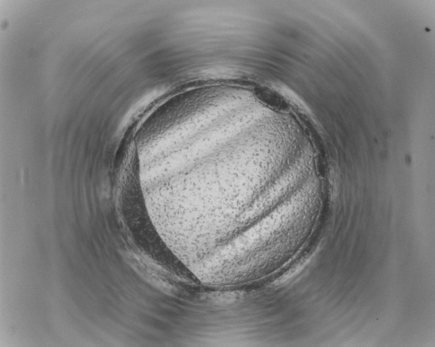 X0000070390930200606301942