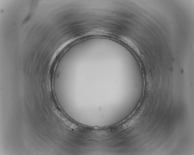 X0000070390931200606301943