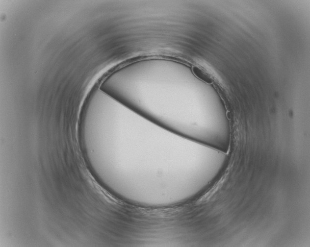 X0000070390932200606301943