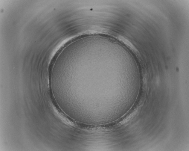 X0000070390934200606301943