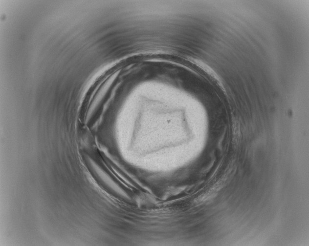 X0000070390935200606301943