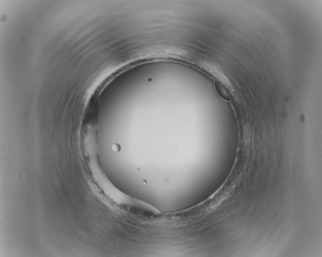 X0000070390936200606301943