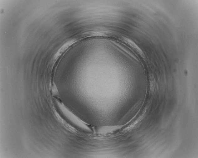 X0000070390938200606301943