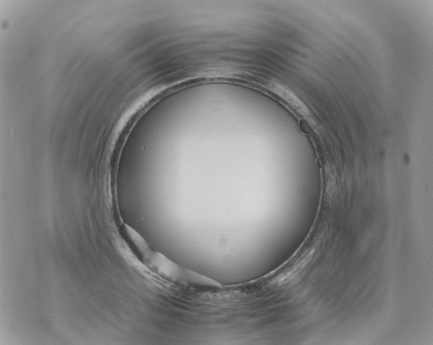 X0000070390939200606301943