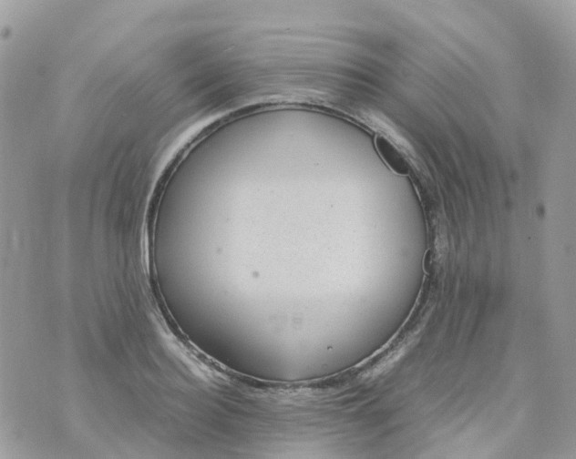 X0000070390940200606301943