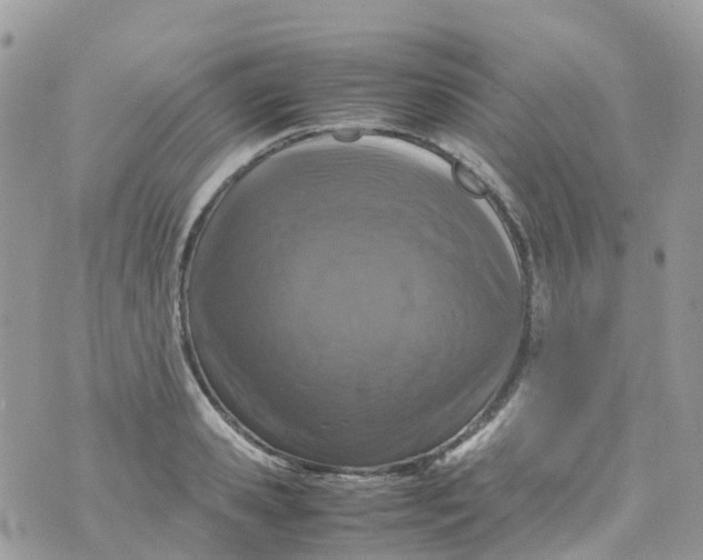 X0000070390941200606301943