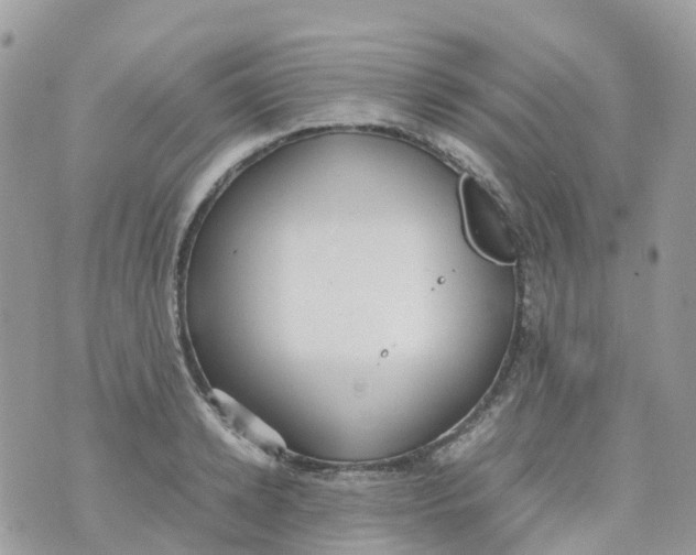 X0000070390942200606301943