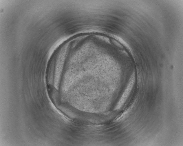 X0000070390943200606301943