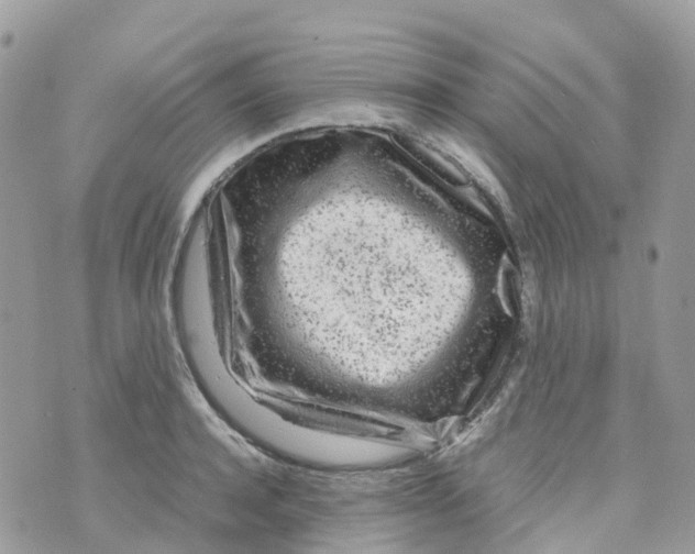 X0000070390944200606301943