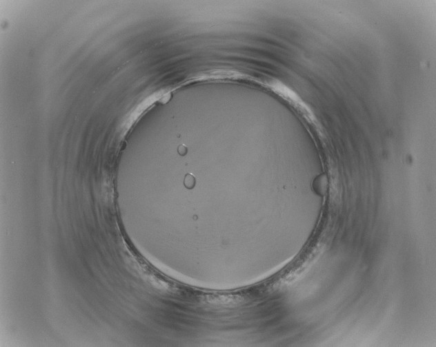 X0000070390945200606301943