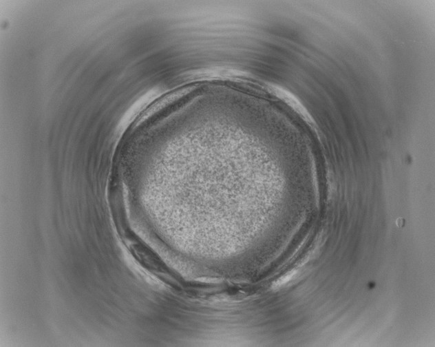 X0000070390946200606301943