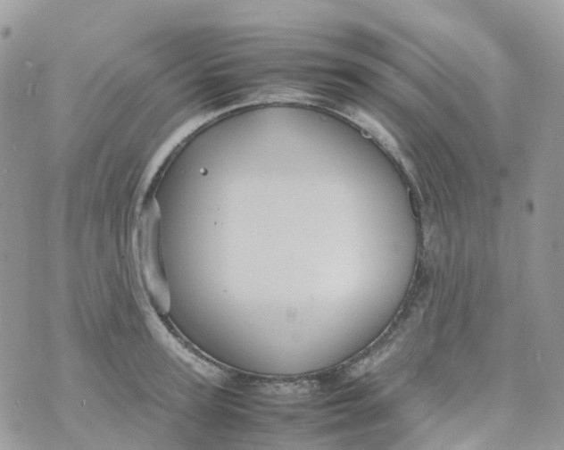 X0000070390947200606301943