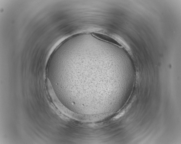 X0000070390948200606301943