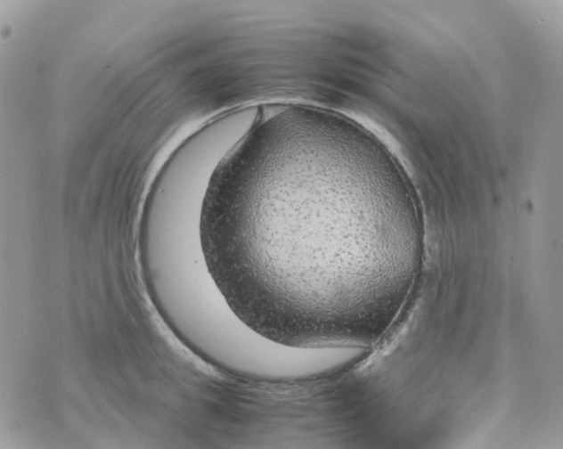 X0000070390949200606301943