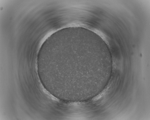 X0000070390950200606301943