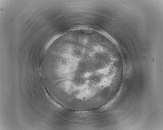 X0000070390953200606301943