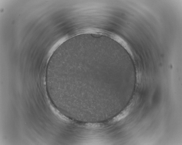 X0000070390954200606301943