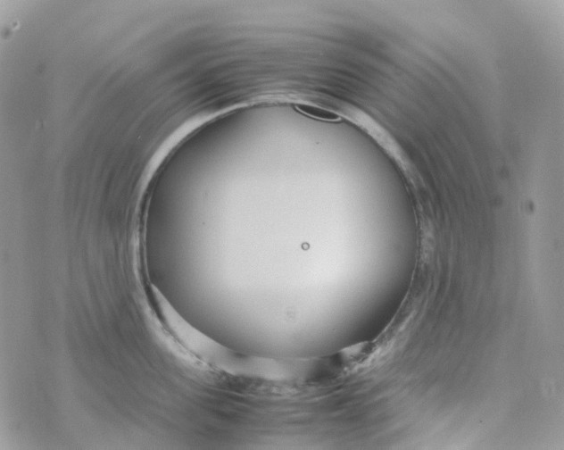 X0000070390955200606301943