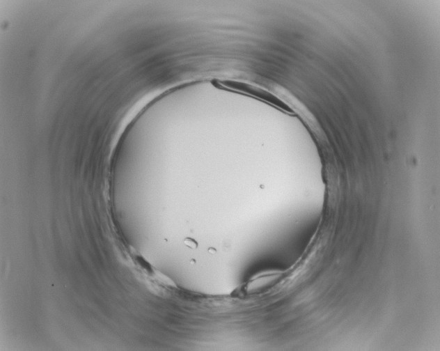 X0000070390956200606301943