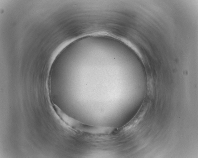 X0000070390959200606301943