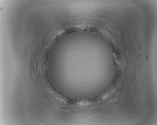 X0000070390961200606301942