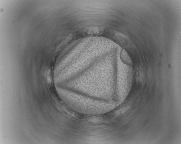 X0000070390962200606301942