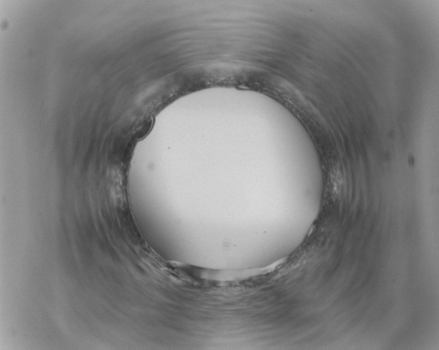 X0000070390964200606301942