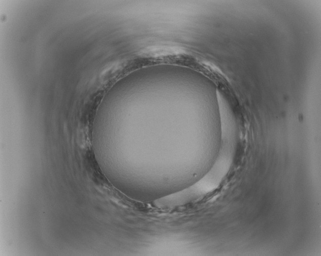 X0000070390965200606301942