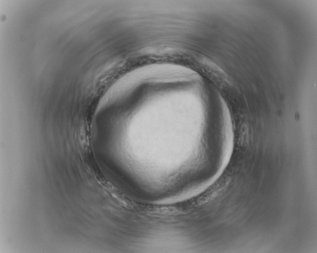 X0000070390966200606301942