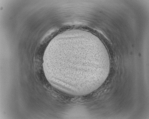 X0000070390967200606301942