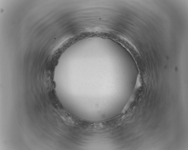 X0000070390968200606301942