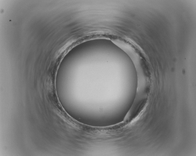 X0000070390969200606301942