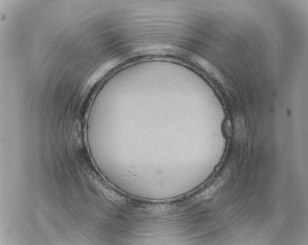 X0000070390970200606301942