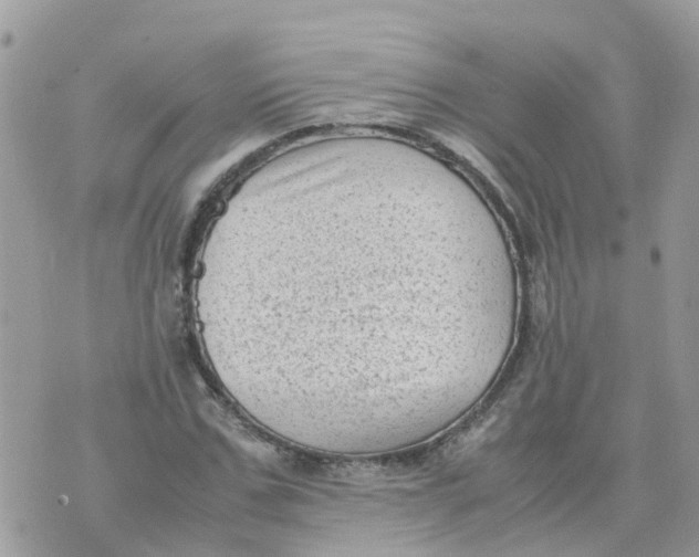 X0000070390971200606301942