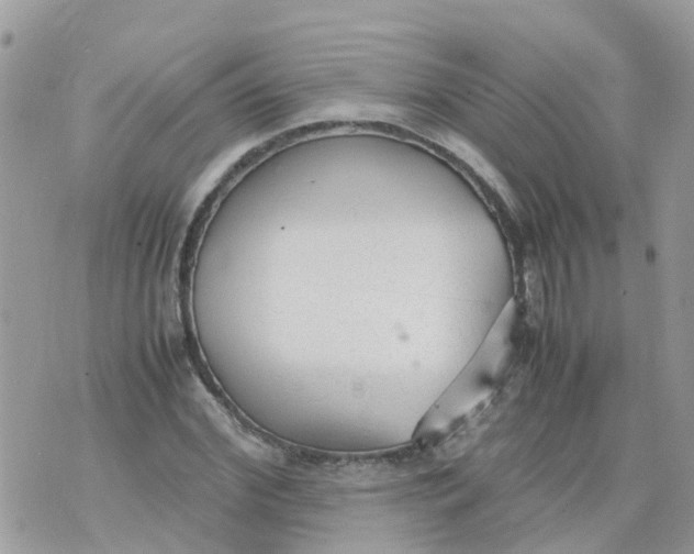 X0000070390972200606301942