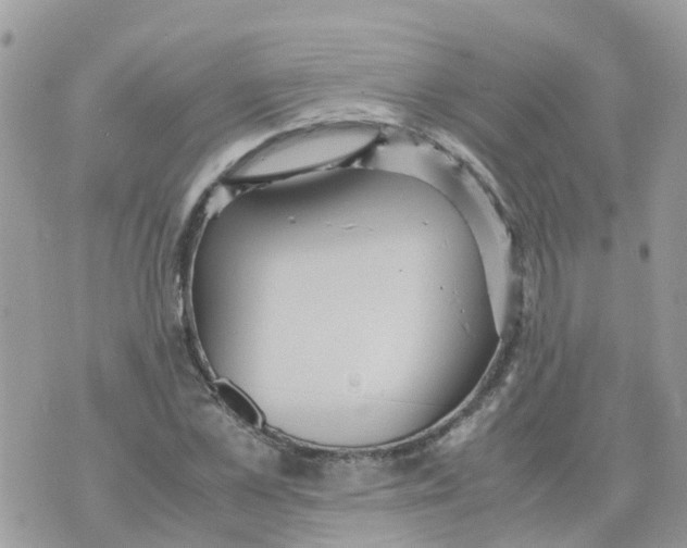 X0000070390973200606301942