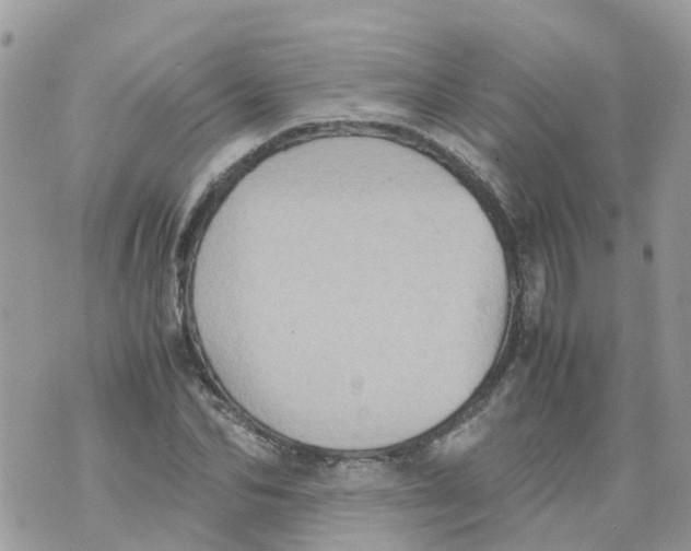 X0000070390974200606301942