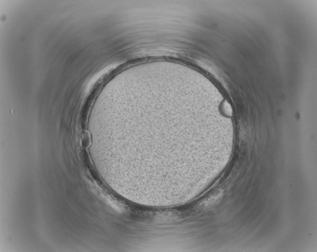 X0000070390979200606301942