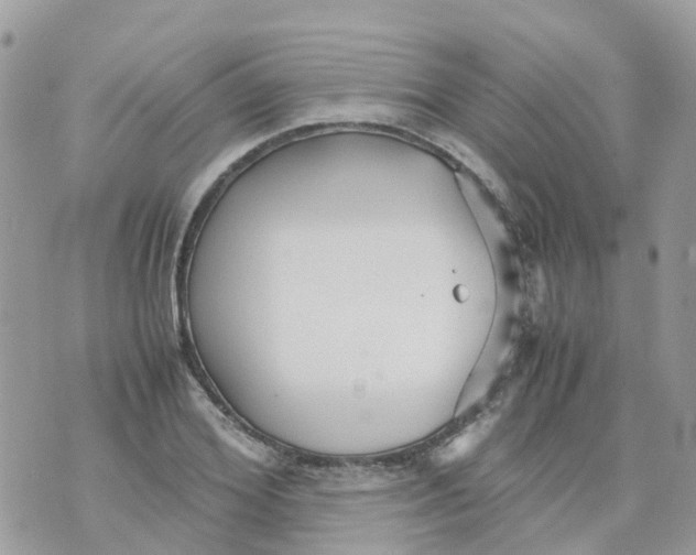 X0000070390980200606301942