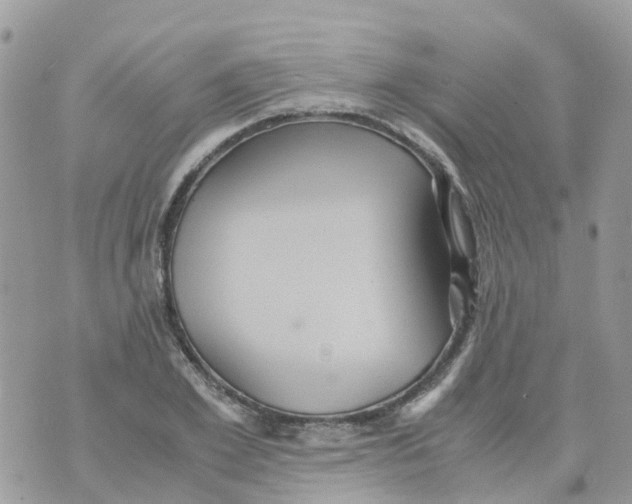 X0000070390981200606301942