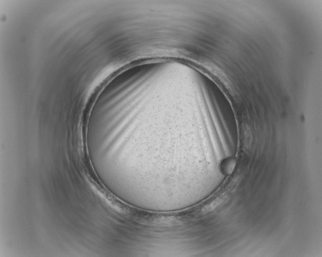 X0000070390982200606301942