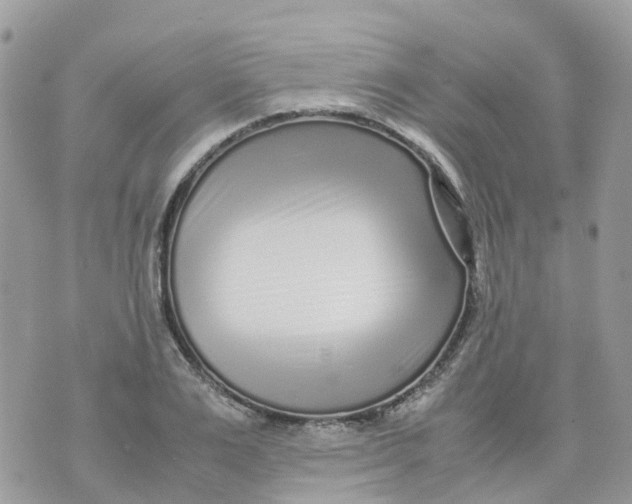 X0000070390983200606301942