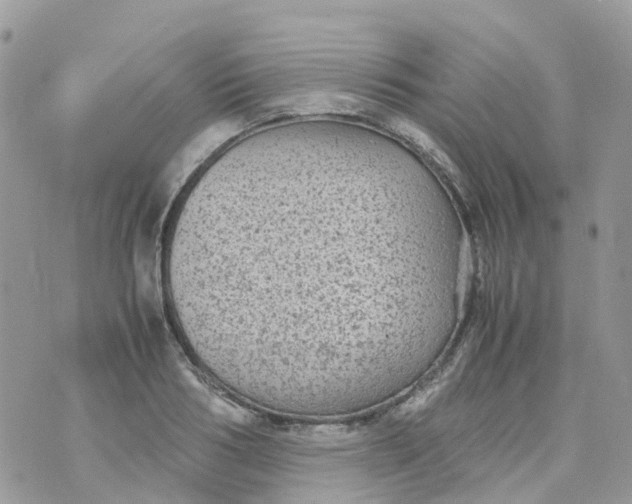 X0000070390986200606301942