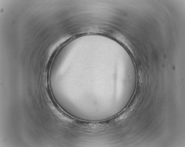 X0000070390987200606301942