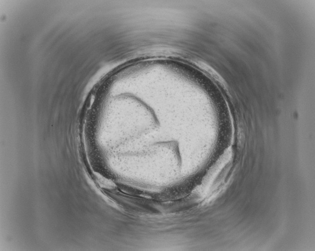 X0000070390989200606301942