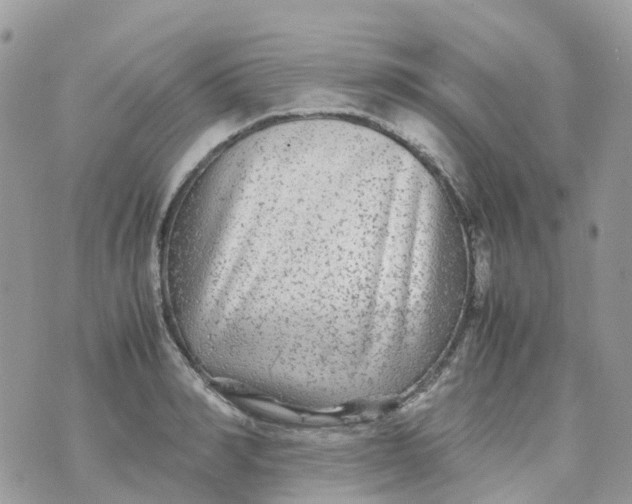 X0000070390990200606301942