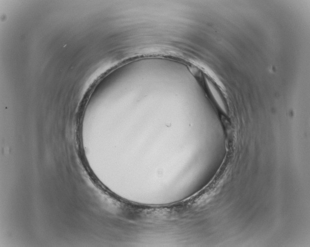 X0000070390991200606301942