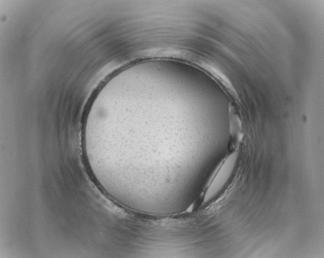 X0000070390992200606301942