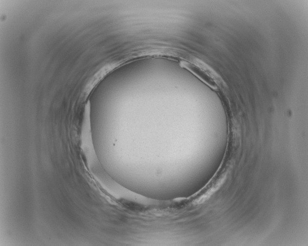 X0000070390993200606301942